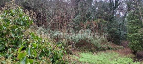 5 rooms House in Capannori, Italy No. 63980 17