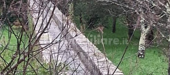 5 rooms House in Capannori, Italy No. 63980 4