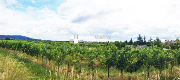 Land in Sooss, Austria No. 212894 2