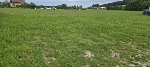 501m² Land in Schalchen, Austria No. 156053 2