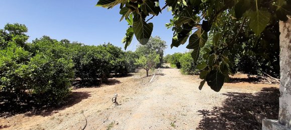 3 bedrooms House in Olhao, Portugal No. 27674 6