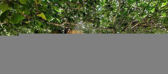 3 bedrooms House in Olhao, Portugal No. 27674 11