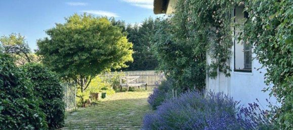 7 rooms House in Wienerwald, Austria No. 157549 22