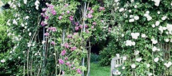 7 rooms House in Wienerwald, Austria No. 157549 24