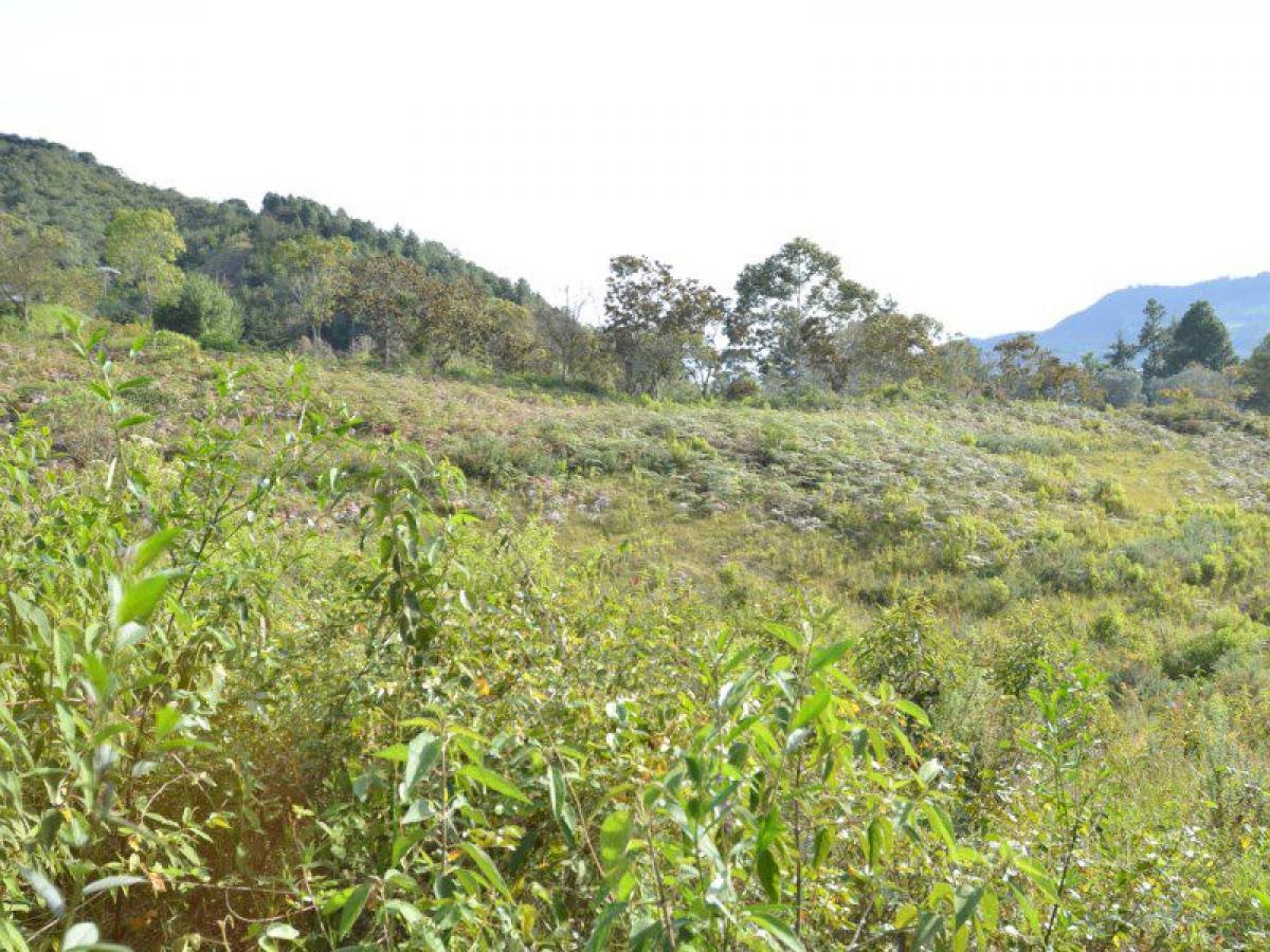 Земельный участок в Антьокия, Колумбия № 183