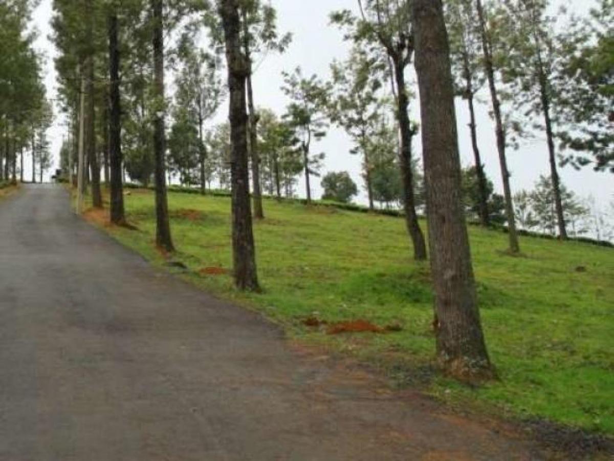  Land in Tamil Nadu, India No. 38312