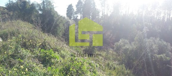 1446m² Land in Coimbra, Portugal No. 70968 2