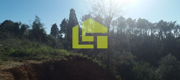 1446m² Land in Coimbra, Portugal No. 70968 4