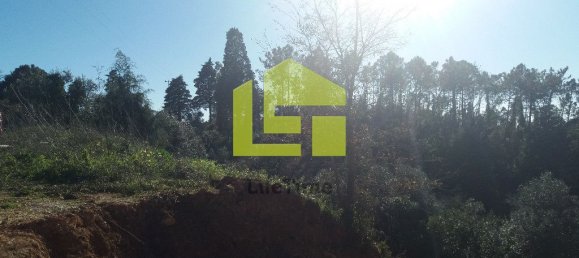 1446m² Land in Coimbra, Portugal No. 70968 5