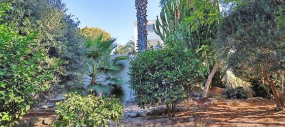 5 غرف نوم فيلا في Coral Bay, Cyprus رقم 22314 28