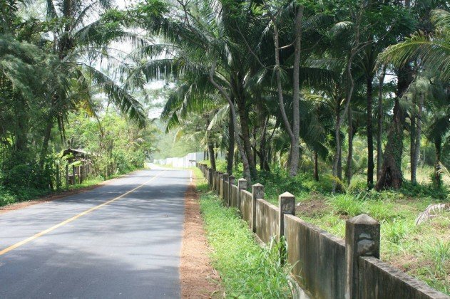 52800m² Commercial property in Bang Tao, Thailand No. 12414