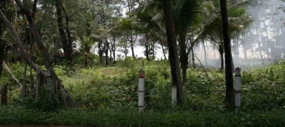 52800m² Commercial property in Bang Tao, Thailand No. 12414 3