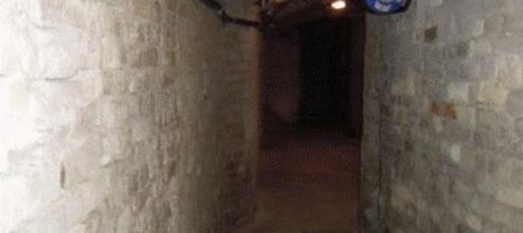 Квартира с 6 комнатами в Вогера, Италия № 141675 14