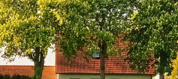 Granja de 6 habitaciónes en Vorpommern-Rugen, Germany No. 184618 4