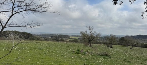 1 chambre Maison à Algaida, Spain No. 16227 15