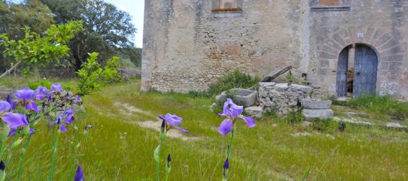 1 chambre Maison à Algaida, Spain No. 16227 2