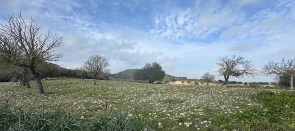 1 chambre Maison à Algaida, Spain No. 16227 16