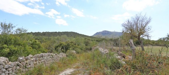 1 chambre Maison à Algaida, Spain No. 16227 13