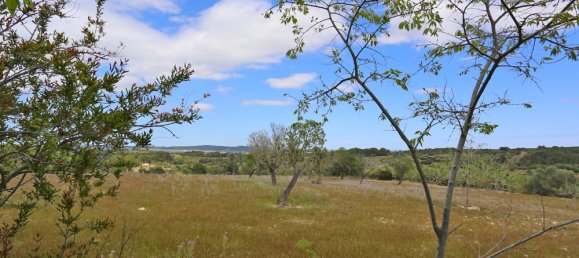 1 chambre Maison à Algaida, Spain No. 16227 14