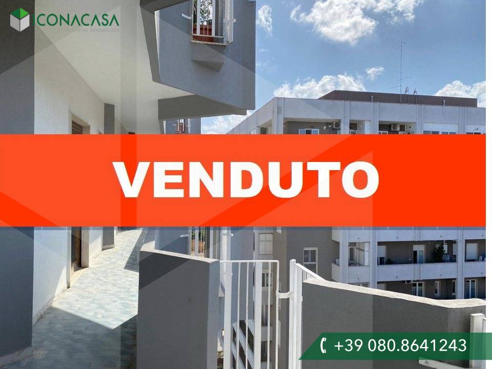 5 rooms Apartment in Bari, Italy No. 22620