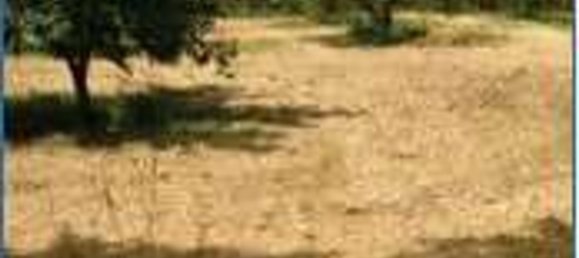 5 rooms Apartment in Orte, Italy No. 199113 12