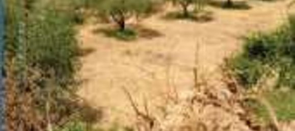 5 rooms Apartment in Orte, Italy No. 199113 13