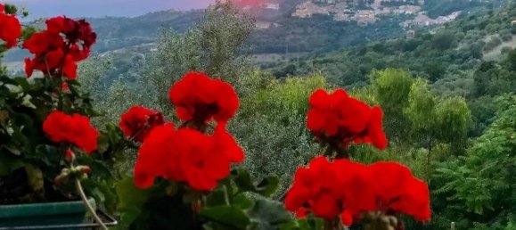 3-Zimmer Wohnung in Prignano Cilento, Italy, Nr. 69953 8