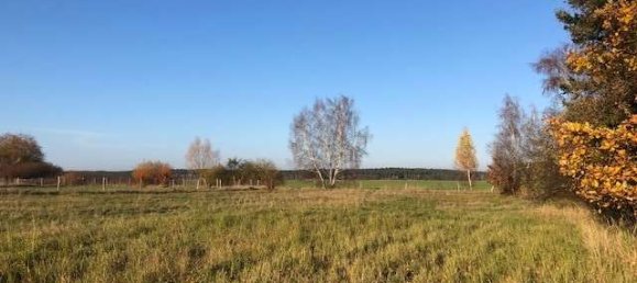 25 rooms House in Brandenburg, Germany No. 52980 5