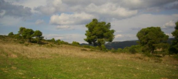  Hotel in Zakynthos, Greece No. 600 6