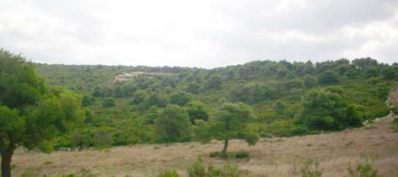  Hotel in Zakynthos, Greece No. 600 8