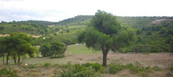 Terra em Zakynthos, Greece N.º 600 10