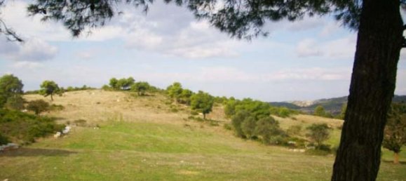 Terra em Zakynthos, Greece N.º 600 3