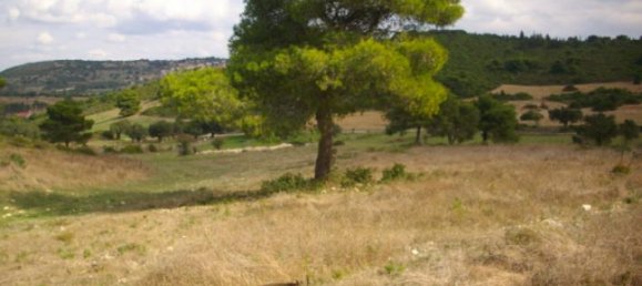  Hotel in Zakynthos, Greece No. 600 7