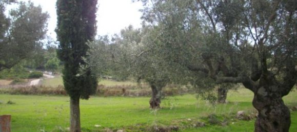 Terra em Zakynthos, Greece N.º 600 4