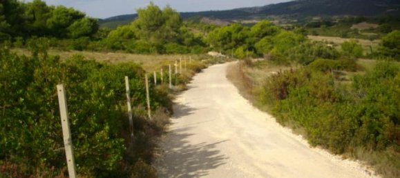 Terra em Zakynthos, Greece N.º 600 2
