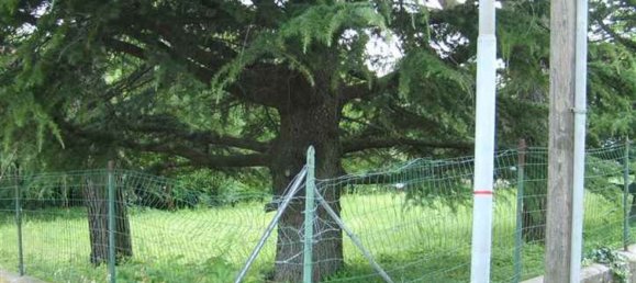 1334m² Land in Zocca, Italy No. 125119 8