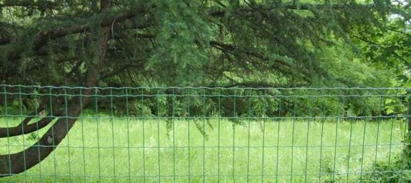 1334m² Land in Zocca, Italy No. 125119 5