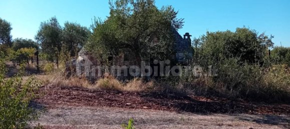 2-salle Maison à Castellana Grotte, Italy No. 371099 10