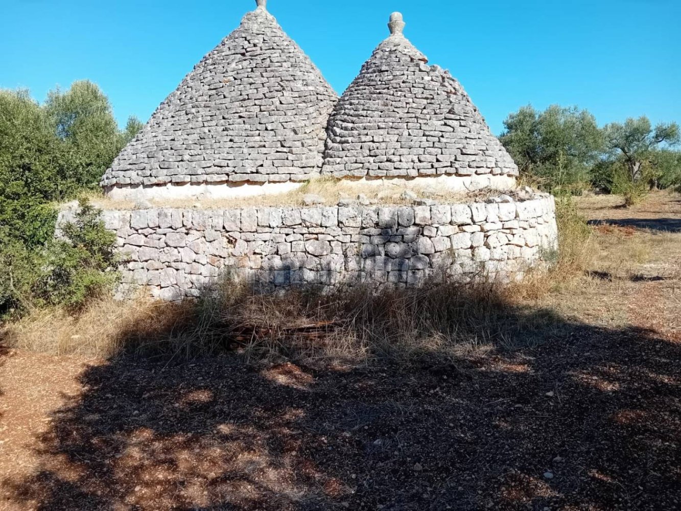 2-salle Maison à Castellana Grotte, Italy No. 371099