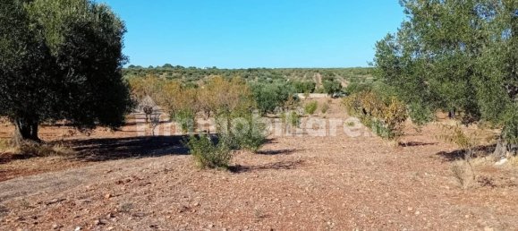 2-salle Maison à Castellana Grotte, Italy No. 371099 4