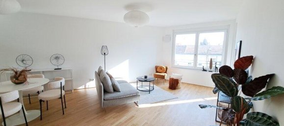 4 rooms Commercial property in Deutsch-Wagram, Austria No. 162609 4