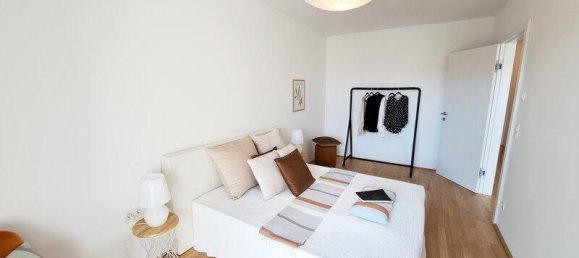 4 rooms Commercial property in Deutsch-Wagram, Austria No. 162609 6