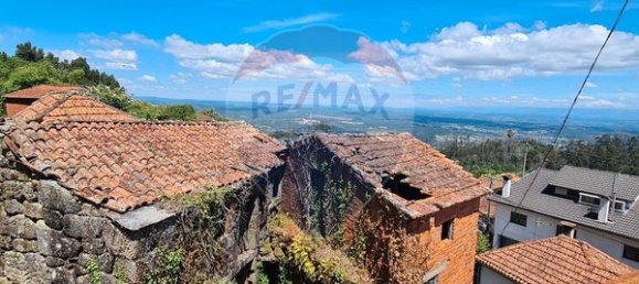 1 bedroom House in Tondela, Portugal No. 20720 7