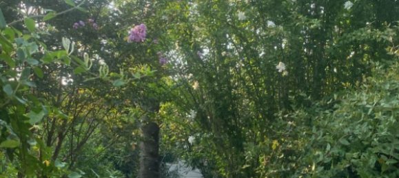 9 bedrooms House in Absheron, Azerbaijan No. 1182 30