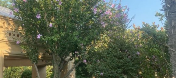 9 bedrooms House in Absheron, Azerbaijan No. 1182 22