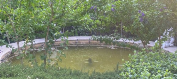 9 bedrooms House in Absheron, Azerbaijan No. 1182 4