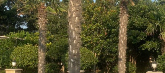 9 bedrooms House in Absheron, Azerbaijan No. 1182 21