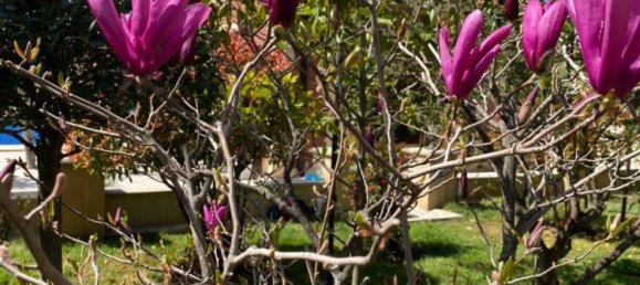 9 bedrooms House in Absheron, Azerbaijan No. 1182 29