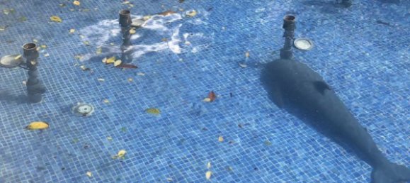 9 bedrooms House in Absheron, Azerbaijan No. 1182 3