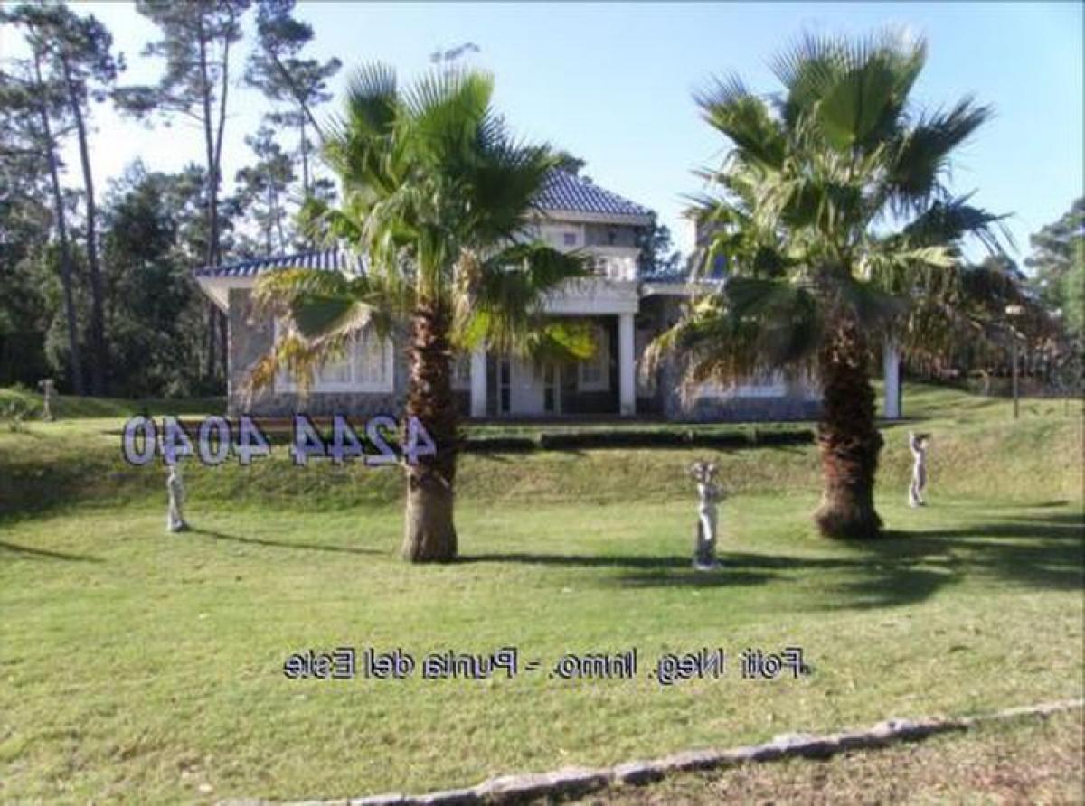 Casa T3 em Maldonado, Uruguay N.º 9181